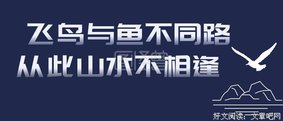 鱼与飞鸟句子大全