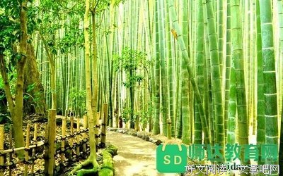 就这样的优美句子