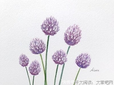 所谓爱的优美句子