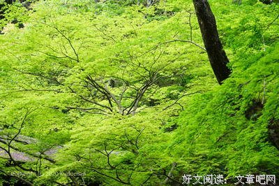 微凉在夏季句子大全