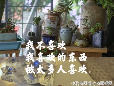 莉莉菲の微言语录@2006