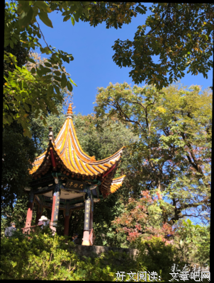 紫极经典名句