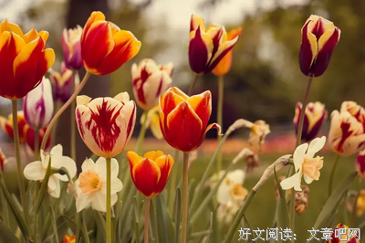 笑对人生,坚强经典的句子