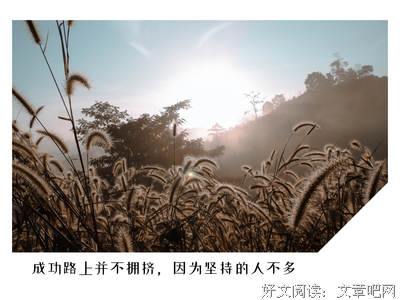 关于窃的句子