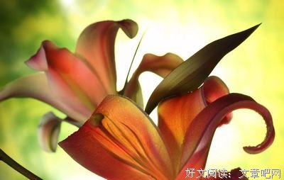 出来混的迟早是要还的优美的句子