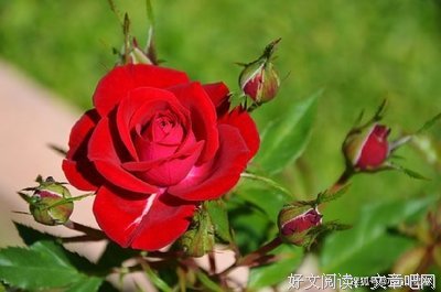 人生真相经典的句子