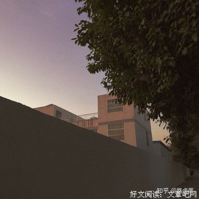 闯如打子你的孤单星球句子大全