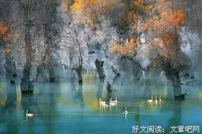关于近心。忆昔年的句子