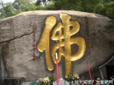 菩提边的摩名言大全