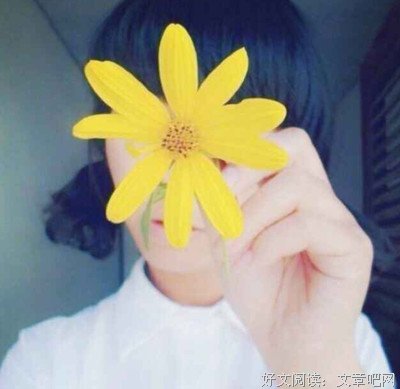 《君如陌上尘》小说书摘大全
