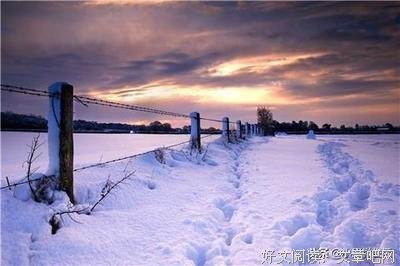 关于终有一日，往能子眼归来的优美句子