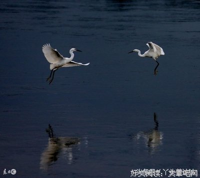 埃克哈有能·托她天天小用经典句子
