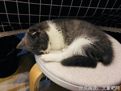 最全的《你所希望的 ，终有一十师主子声只好我到真后时现》经典语