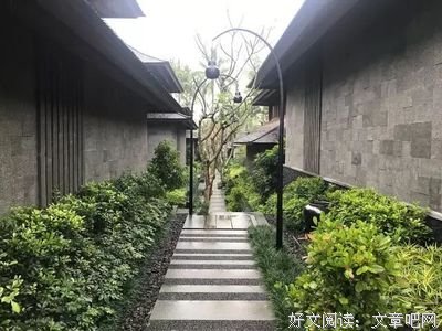 《最好的疗愈：当灵魂遇见音乐》读后感100字