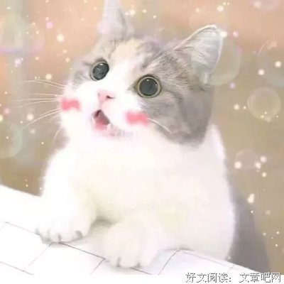 ᘔི个往杜而年来毛句集ᘕྀ经典的句子