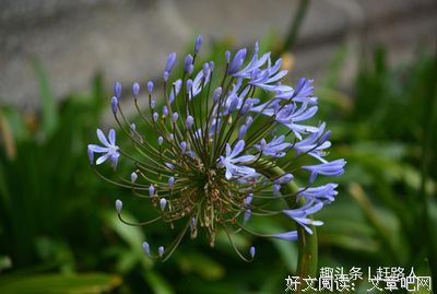 《一作对人月命以孩实事女》的句子