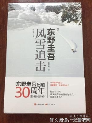 《风雪追击》读后感1000字
