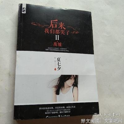 后来我们都哭了II·废墟读后感锦集
