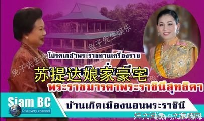 美人的底气读后感锦集