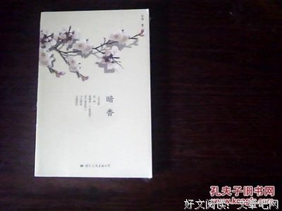 《暗香 毕清》读后感精选