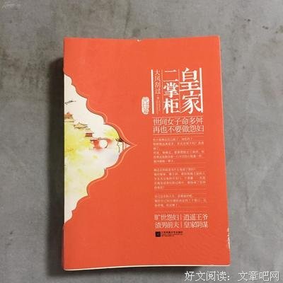皇家二掌柜·完结篇读后感1000字