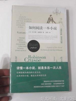 《如何阅读一本小说》的读后感大全
