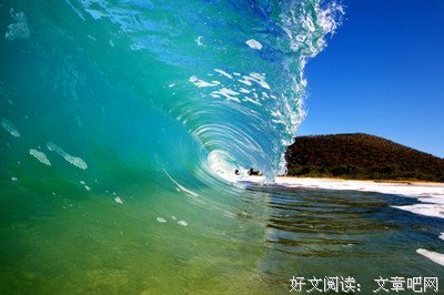 《逃往夏威夷》读后感锦集