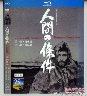 《人间的条件(第五、六部)》经典观后感集