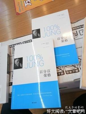 《百分百荣格》读后感100字