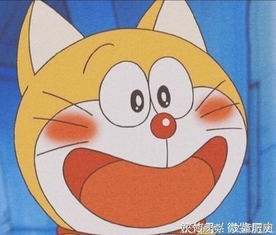 关于我的大学的优美句子
