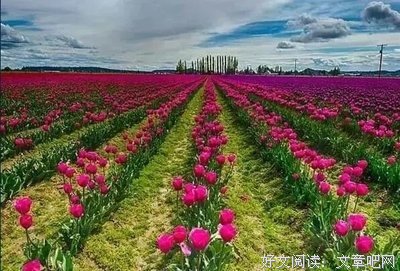 晴朗经典的句子