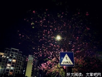 关于对立的句子