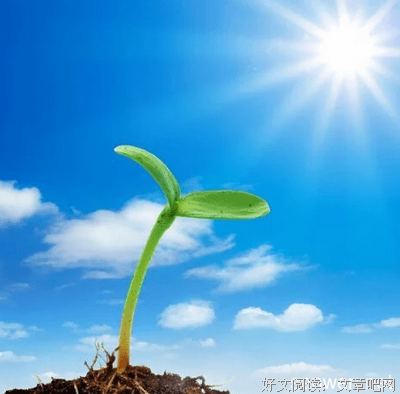 时光的句子