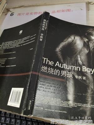 燃烧的男孩句子