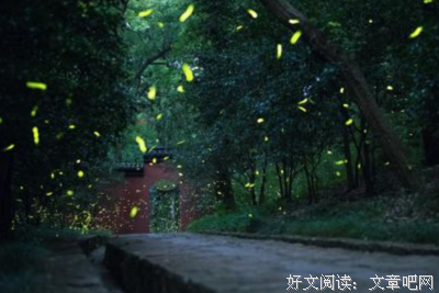 有关特殊16的句子