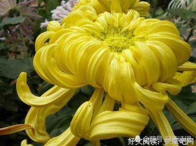关于至理啊的优美句子
