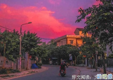 关于花儿一样的句子