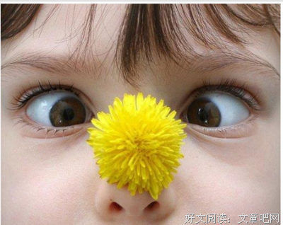 SM的完美艺人的句子