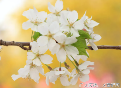 回忆，回不到从前好词好句