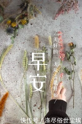 素材句子