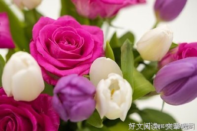 宁静致远经典的句子