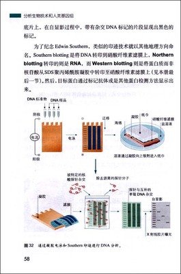 《基因组：生命之书23章》读后感1000字