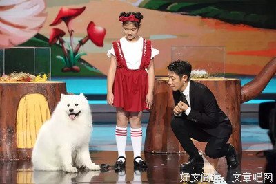 大自然里的故事 月光下的刺猬读后感1000字