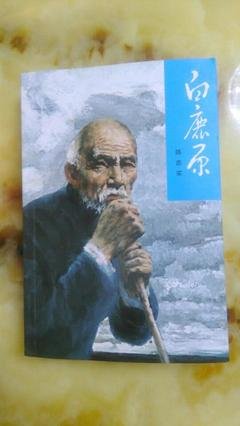 《北美殉道者花园》读后感精选