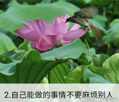 关于麻烦的格言