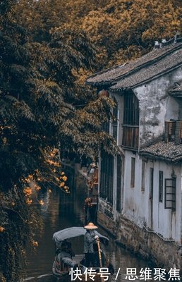 《人间有味是清欢》读后感锦集