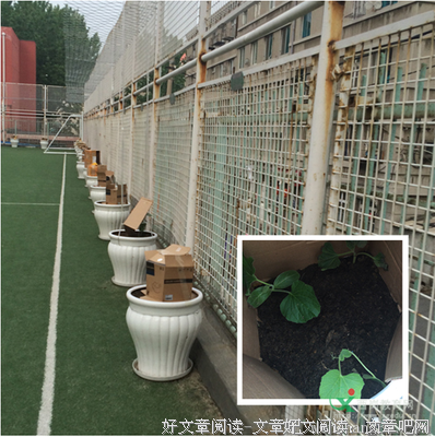 高二 耕耘希望——10个学习点睛话题经典读后感有感