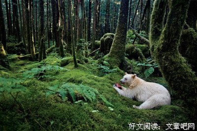 《吃遍天下！》的读后感大全