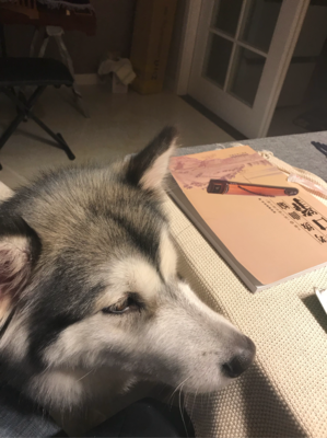 过日子的语句摘抄_关于过日子的语句