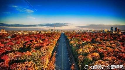 狼狈的语句摘抄_关于狼狈的语句